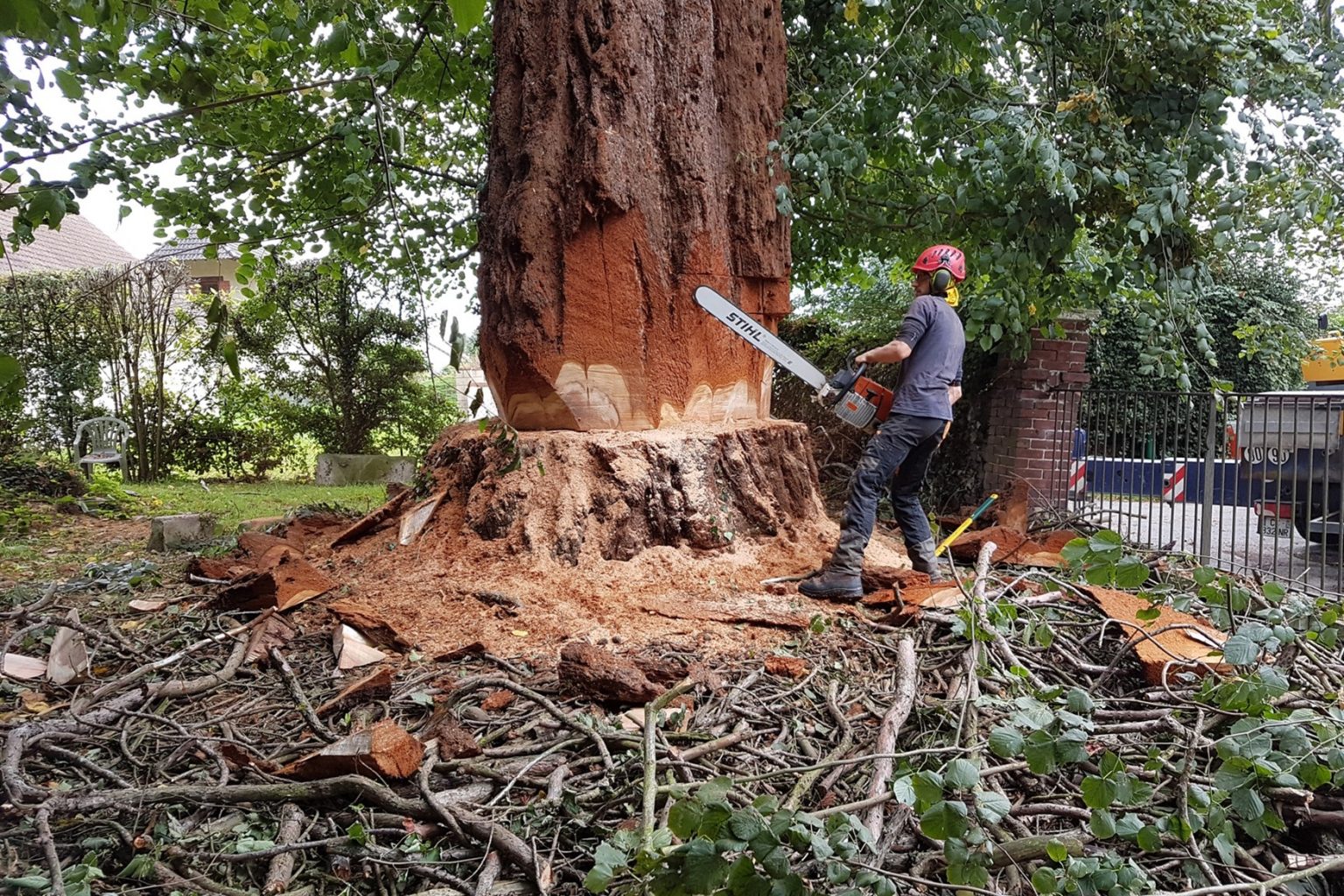 Comment abattre un arbre correctement ? Mes news locales