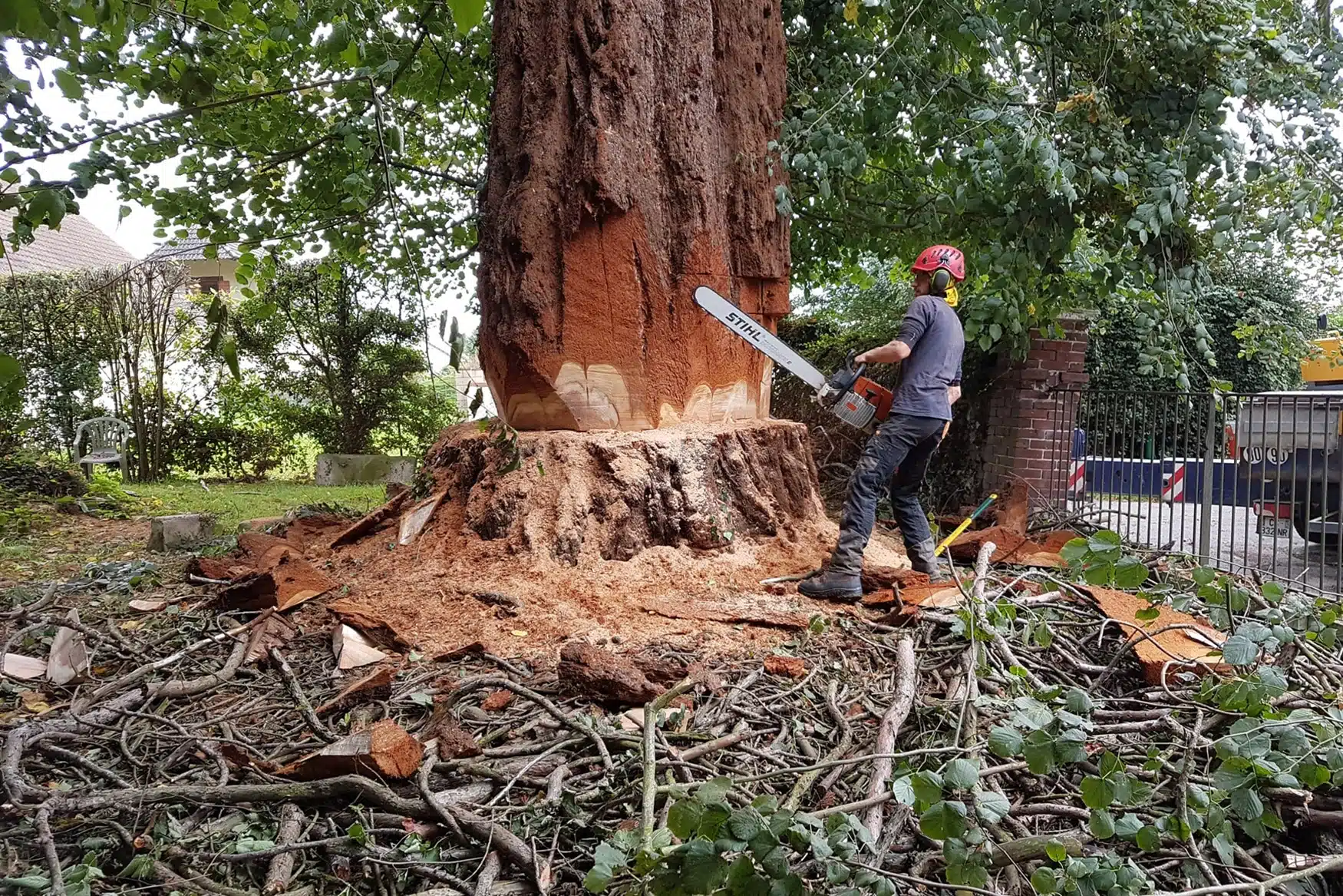 Comment abattre un arbre correctement ?